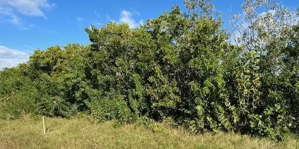 336 Hawaii CIR