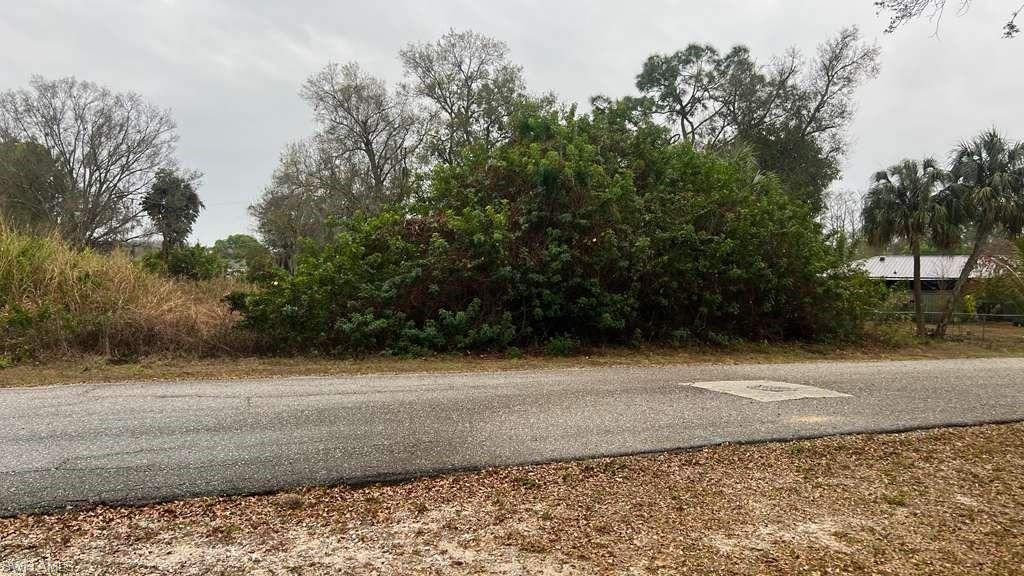 Image 4: View of asphalt street