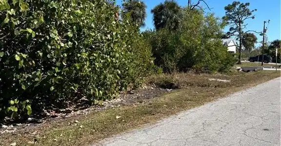Image 2: View of asphalt street