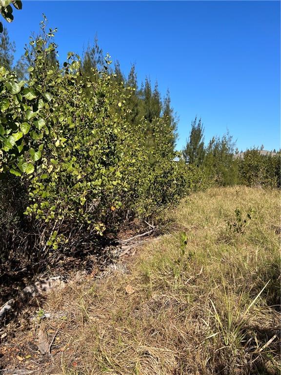 Image 3: View of undeveloped land