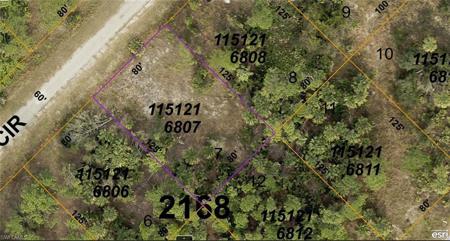1151216807 Mansfield CIR