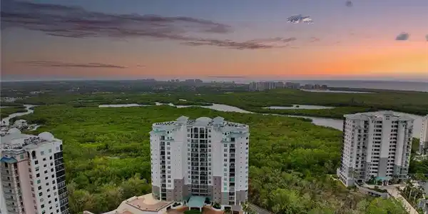 445 Cove Tower DR