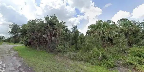 Image 2: View of nature