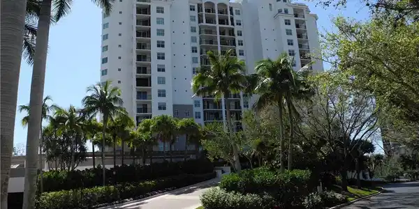 445 Cove Tower DR