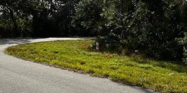 Image 3: View Lot via Daley street