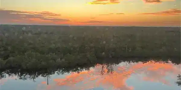 266 Barefoot Beach BLVD