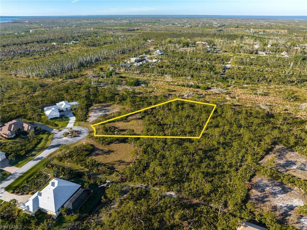 Image 4: Aerial view of property's location with property parcel outlined and a forest