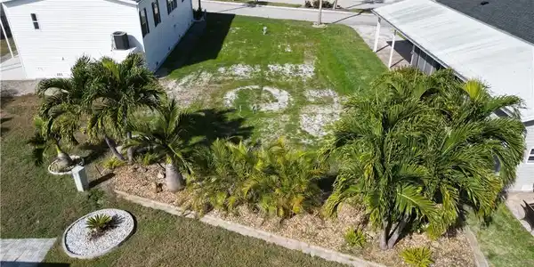 Image 3: Lovely landscaping in the back