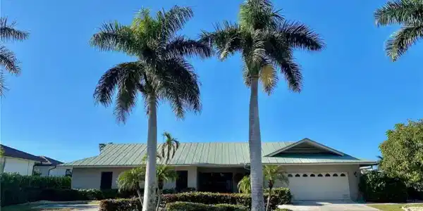 334 Grapewood CT