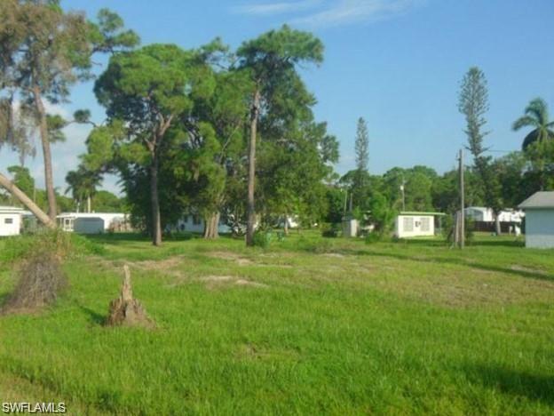 Image 2: View of yard