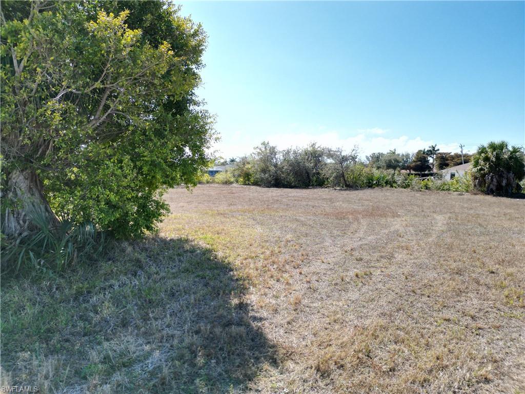 Image 2: street view