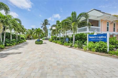38 Sea Hibiscus CT