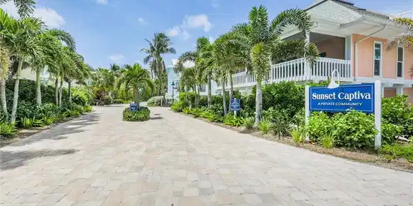 38 Sea Hibiscus CT