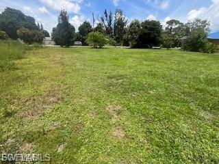 Image 3: View of grassy yard