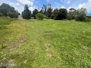 Image 3: View of grassy yard