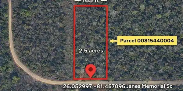 00815440004
