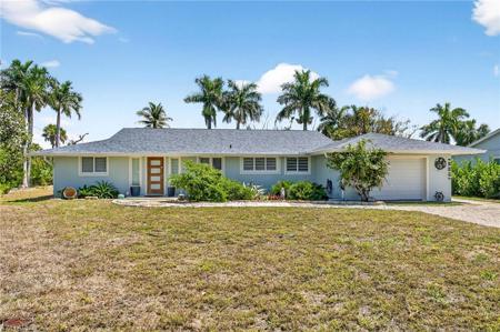 1874 Ibis LN