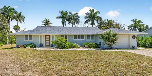 1874 Ibis LN
