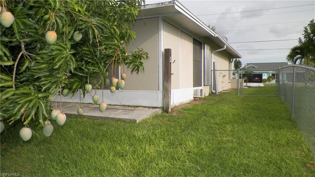 Image 4: Lush green lawn featuring a mature mango tree with abundant fruit