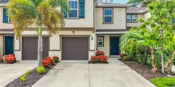 15121 Piping Plover CT