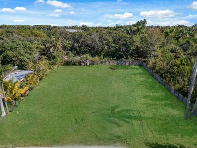 4975 Palmetto CT