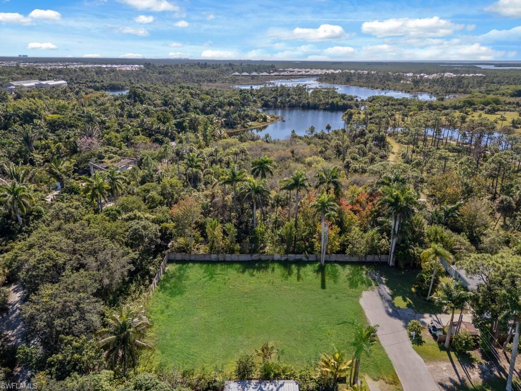 Image 3: Drone / aerial view of a forest and a nearby body of water