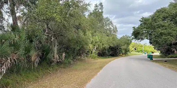 Image 2: Lot Front- Clearview Dr