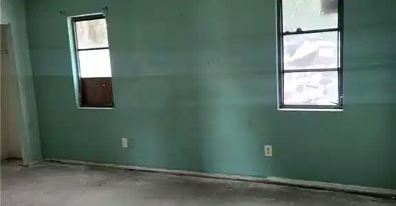 Image 3: Spacious room with fresh green-painted walls, ceiling fan with integrated lighting, and dual windows providing natural light