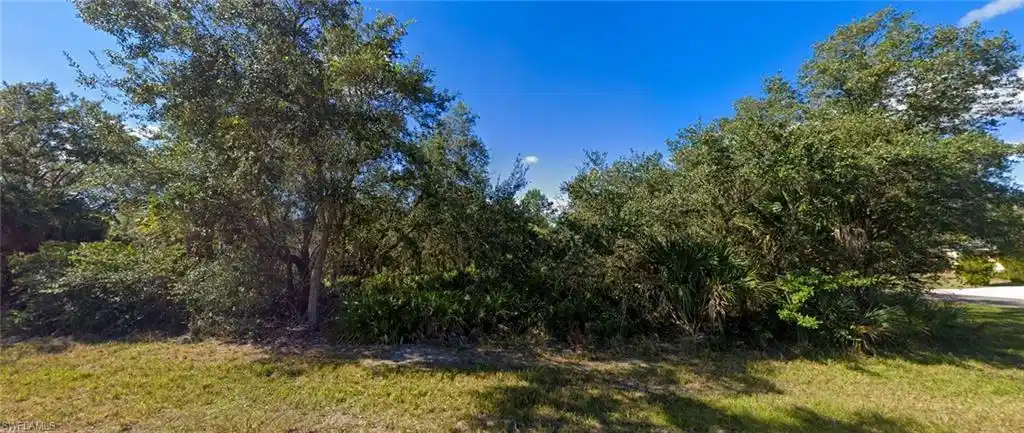 Image 1: View of nature