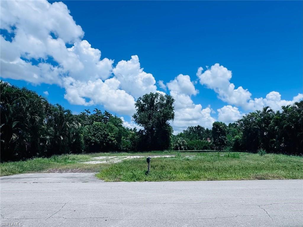 Image 4: View of asphalt street