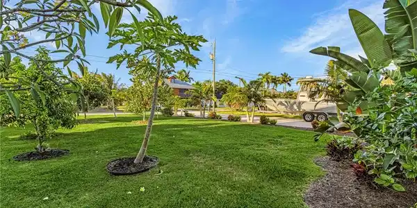 Image 4: Expansive green lawn with mature tropical foliage and a variety of trees, including a frangipani