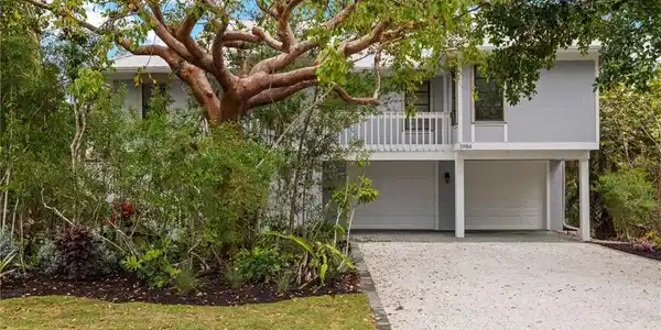 1986 Wild Lime DR