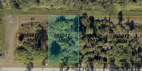 0950121002 Franzino AVE