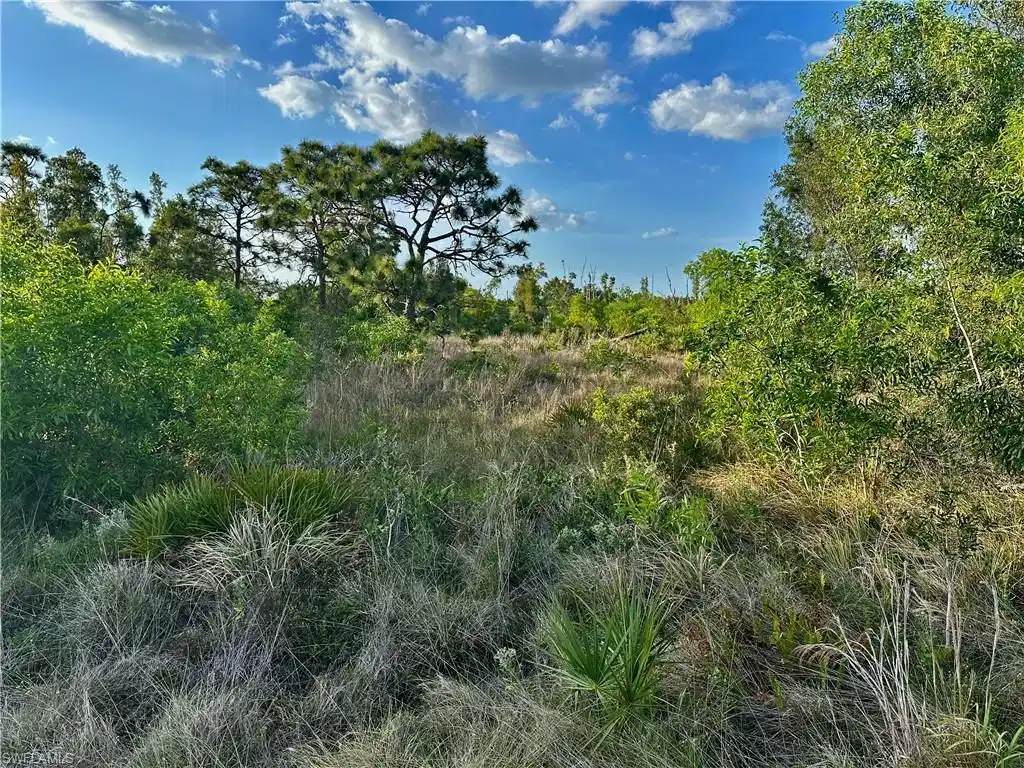 Image 1: Front - Looking north