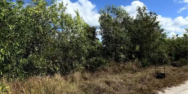 Image 4: View of nature