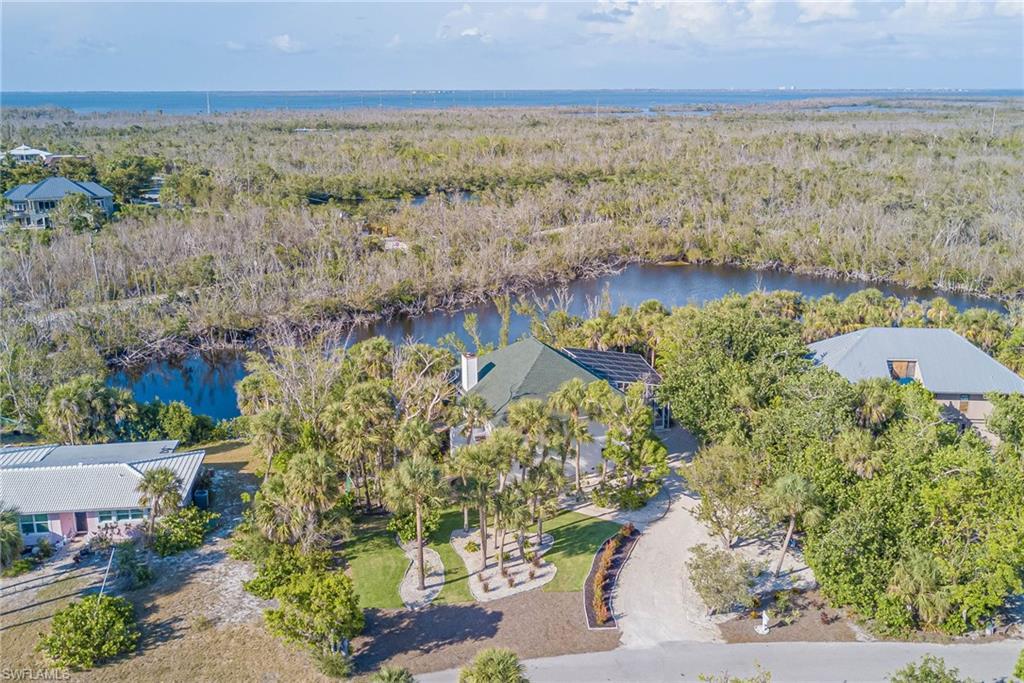 Image 3: Drone / aerial view of lush new landscaping