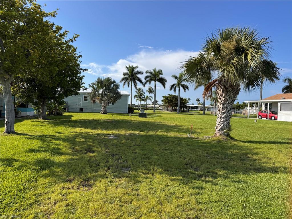 Image 1: Street view of property, palm tree on property, grass