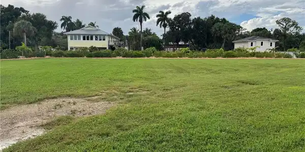 Image 3: View of grassy yard with view of scattered trees