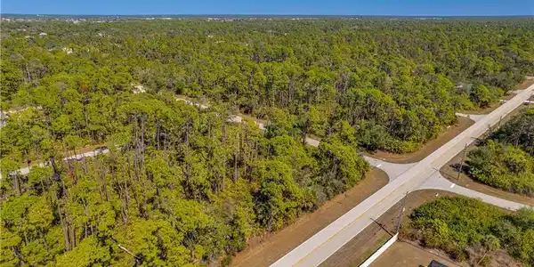 Image 4: Aerial view of a heavily wooded area