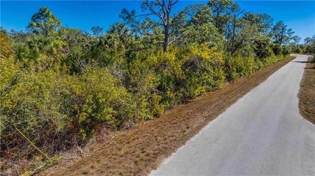 Image 3: View of asphalt road