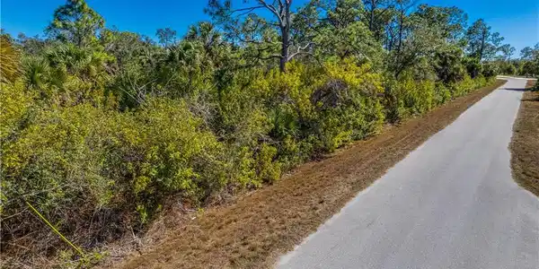 Image 3: View of asphalt road