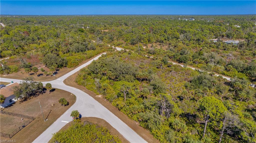 Image 4: Aerial view of a heavily wooded area