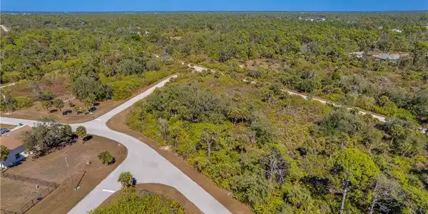 Image 4: Aerial view of a heavily wooded area