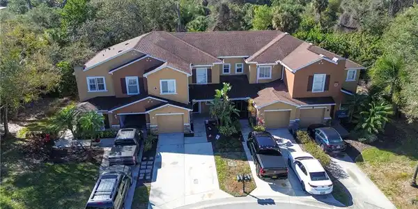 15150 Piping Plover CT