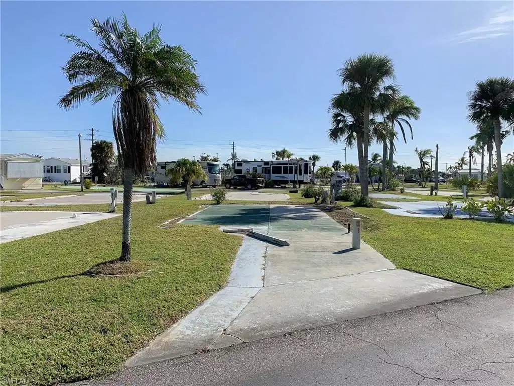 Image 1: Front of lot with Palms