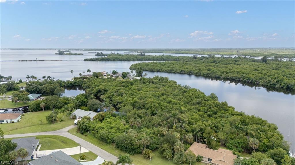 Image 4: Expansive aerial capturing a wide waterway bordered by dense, mature foliage
