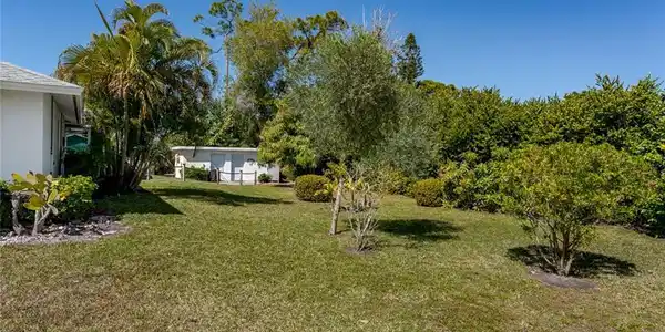 Image 4: View of spacious grassy yard