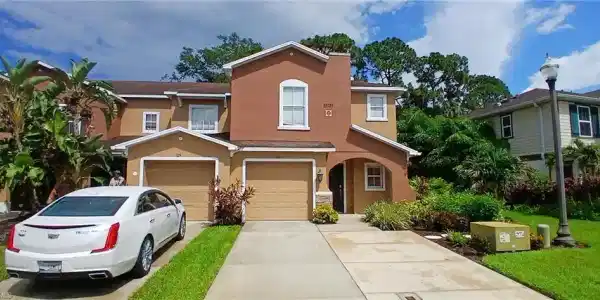 15131 Piping Plover CT