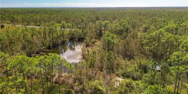 Image 4: Drone / aerial view of a nearby body of water and a forest