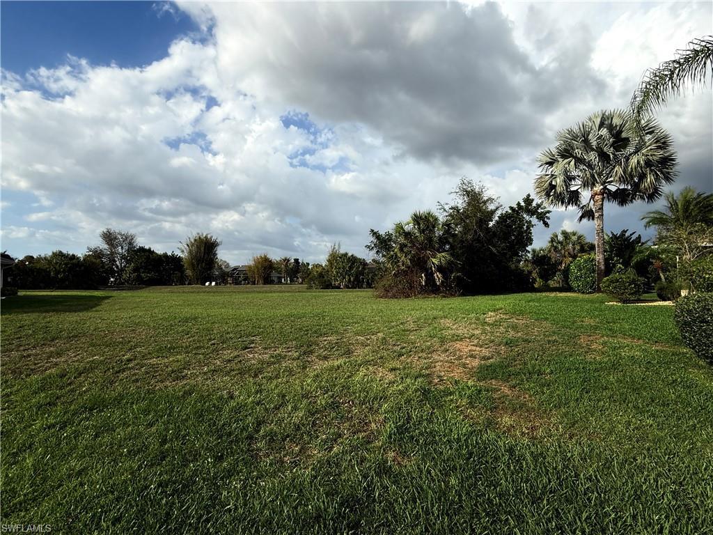 Image 2: View of green lawn